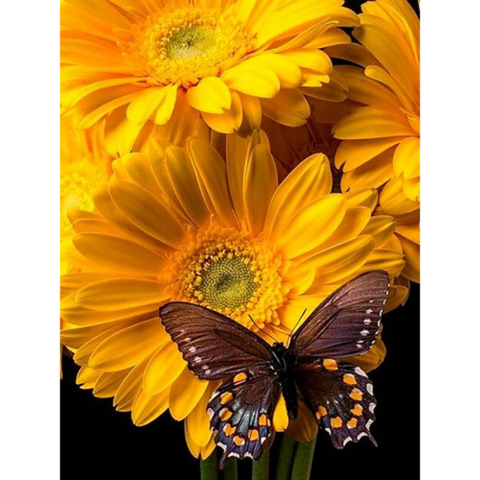 Алмазная мозаика Бабочка на цветке 33х45см круглые камни-стразы, без подрамника, ТМ Стратег, Украина
