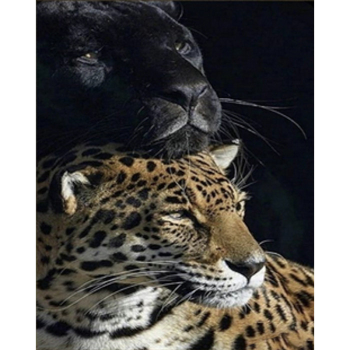 Алмазная мозаика Пантера и леопард 30х40см квадратные камни-стразы, в кор. 41*31*2,5см, ТМ Стратег, Украина