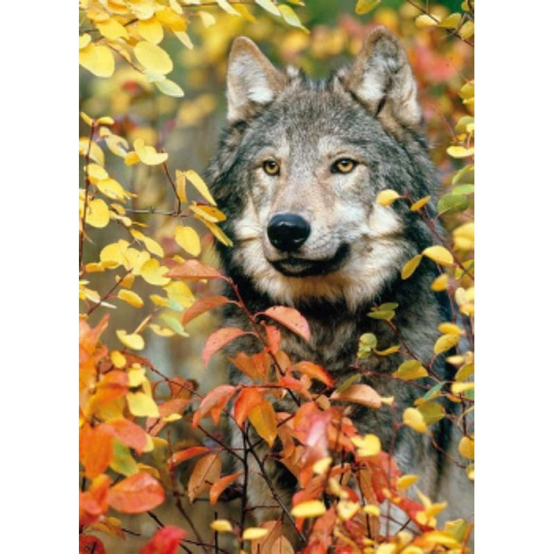 Алмазная мозаика Волк в лесу 25х35см круглые камни-стразы, без подрамника, ТМ Стратег, Украина