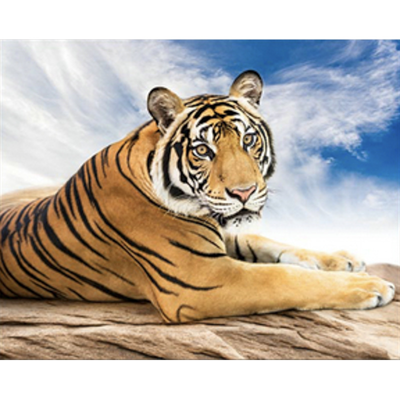 Алмазная мозаика Сибирский тигр 40х50см квадратные камни-стразы, в кор. 51*43*3см, ТМ Стратег, Украина
