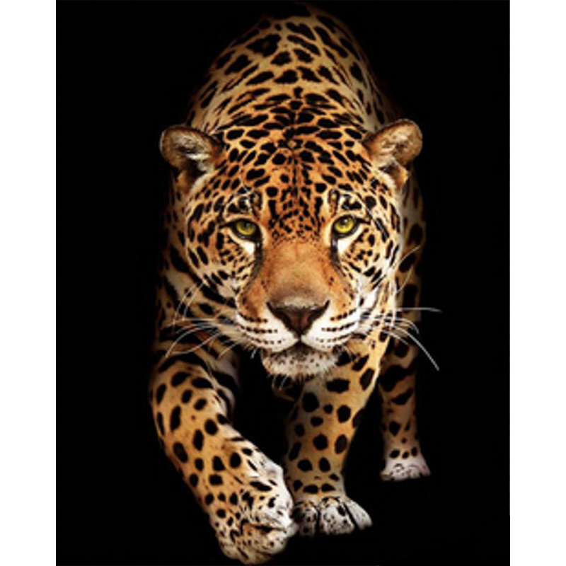 Алмазная мозаика Встреча с леопардом на рамке 40х50см, в кор. 51*43*3см, ТМ Strateg, Украина