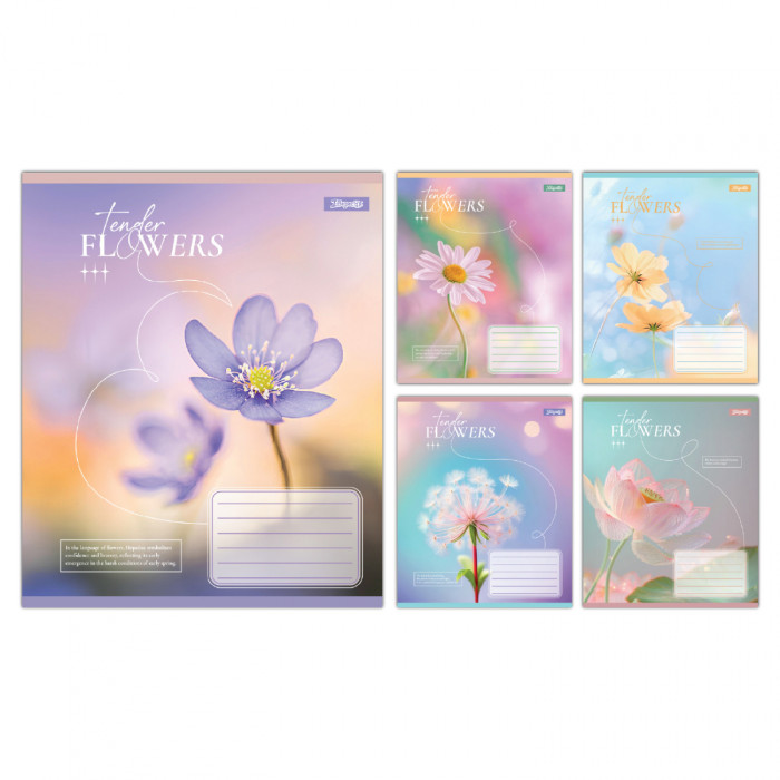 А5/12 кл. 1B Tender Flowers, зошит учнівський шкільний, ціна за 25 шт. //
