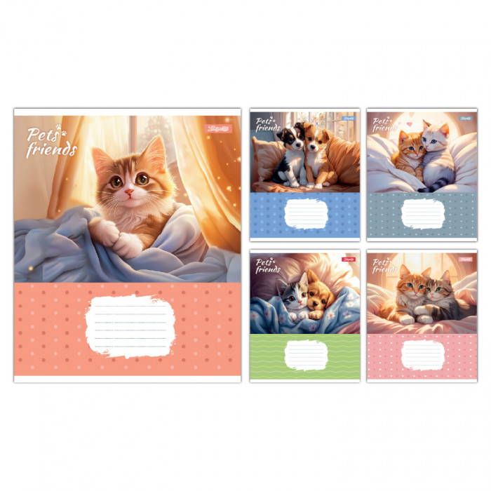 А5/12 кл. 1B Pets Frinds, зошит учнівський шкільний, ціна за 25 шт. //