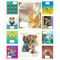 Зошит 12 арк.лінія Тверда ТЕ42101 12ЛВ1 МІКС, 25 шт. в уп. /600/, 10к.