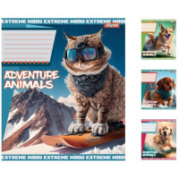 А5/18 кл. 1В Adventure animals, зошит учнів. 25 шт. в уп. //