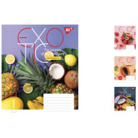 А5/24 кл. YES Exotic, зошит учнів. 20 шт. у уп. //