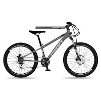 Велосипед 29 д. MTB2903-5 (1шт) алюм.рама 19