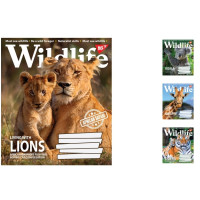 А5/36 лін. YES Wild life, зошит дя записів15шт. в уп. //