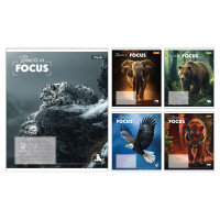 А5/96 лін. 1В Beasts in Focus, зошит учнівський загальний, ціна за 5 шт. //