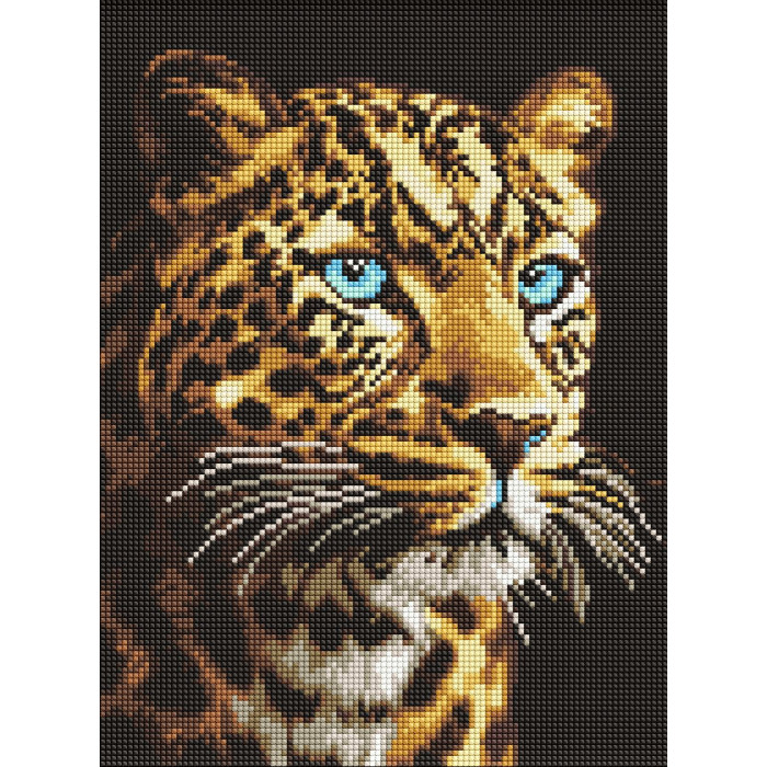 Набір з алмазною мозаїкою 