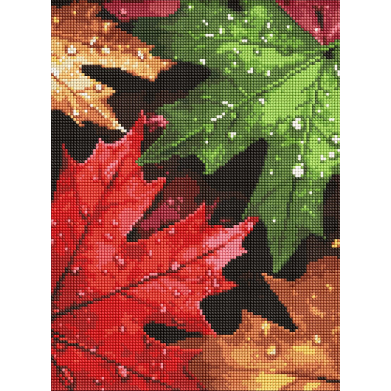 Набір з алмазною мозаїкою 