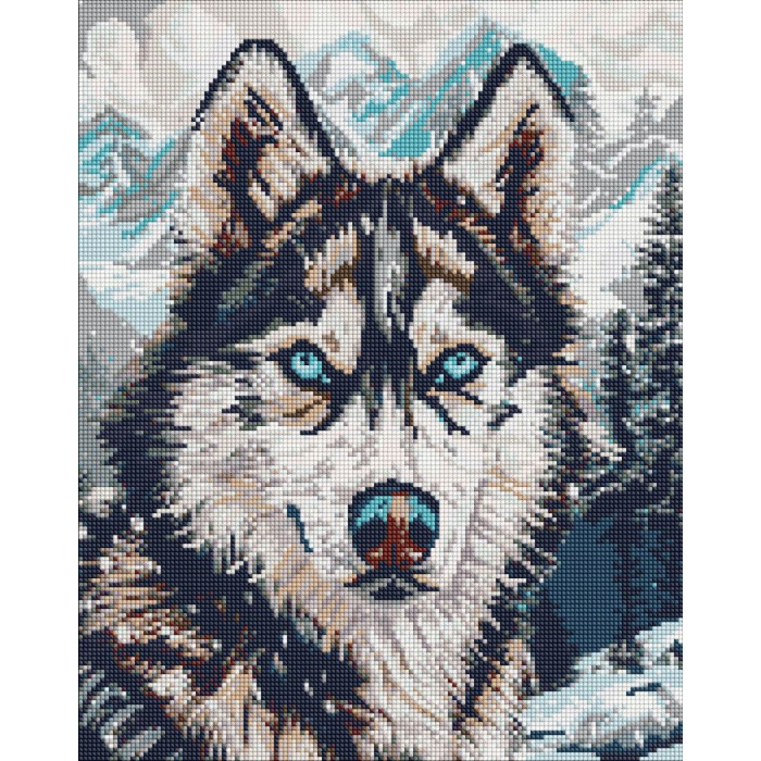 Набір з алмазною мозаїкою 