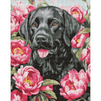 Набір з алмазною мозаїкою 