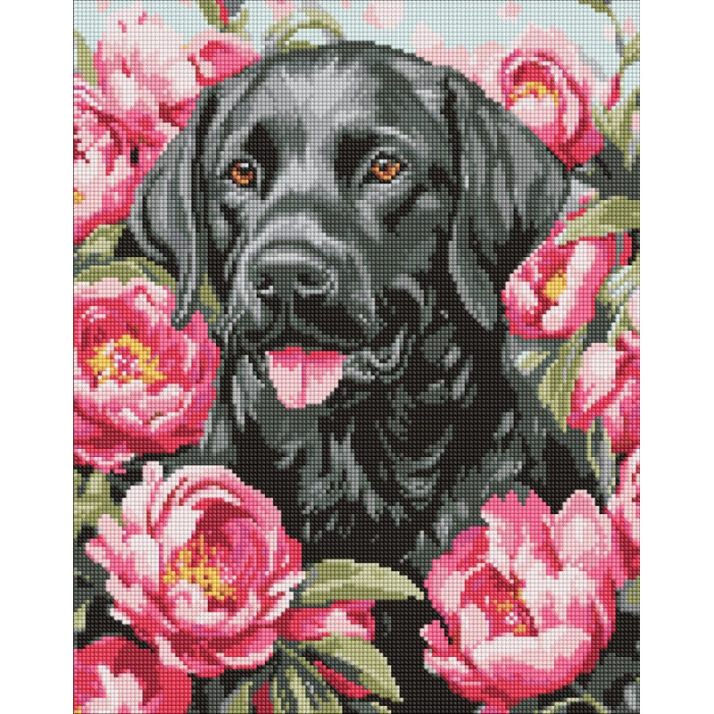 Набір з алмазною мозаїкою 