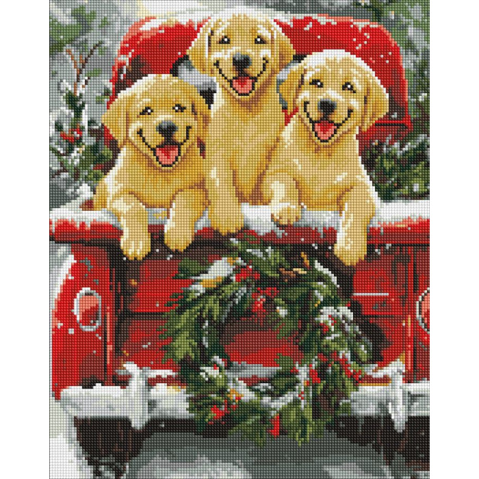 Набір з алмазною мозаїкою 