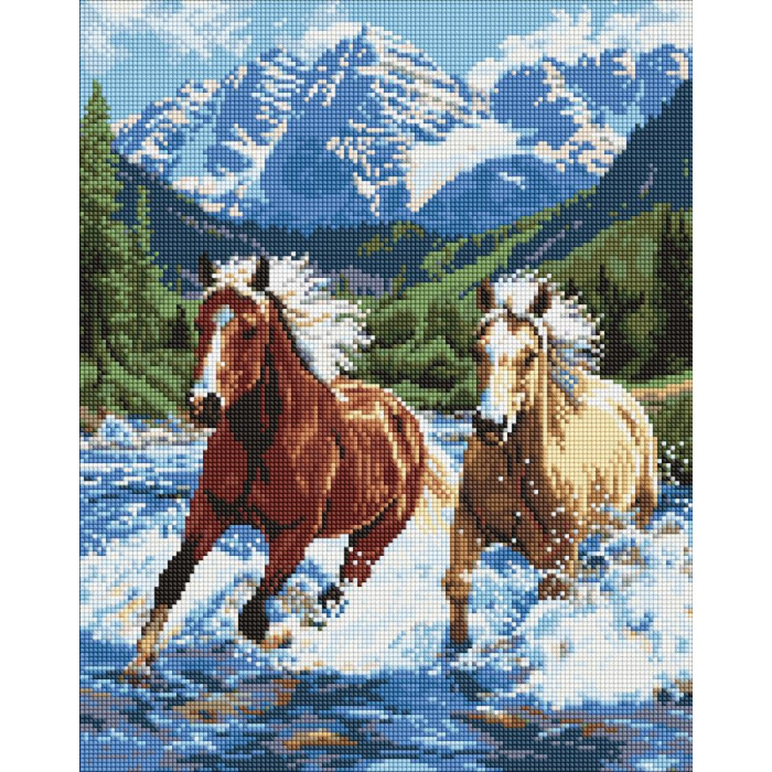 Набір з алмазною мозаїкою 