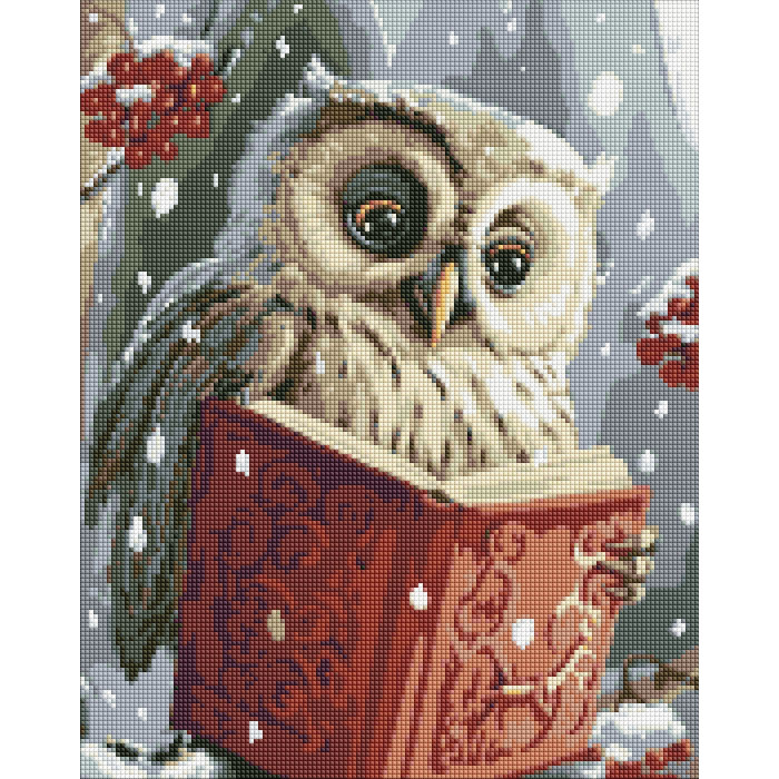 Набір з алмазною мозаїкою 