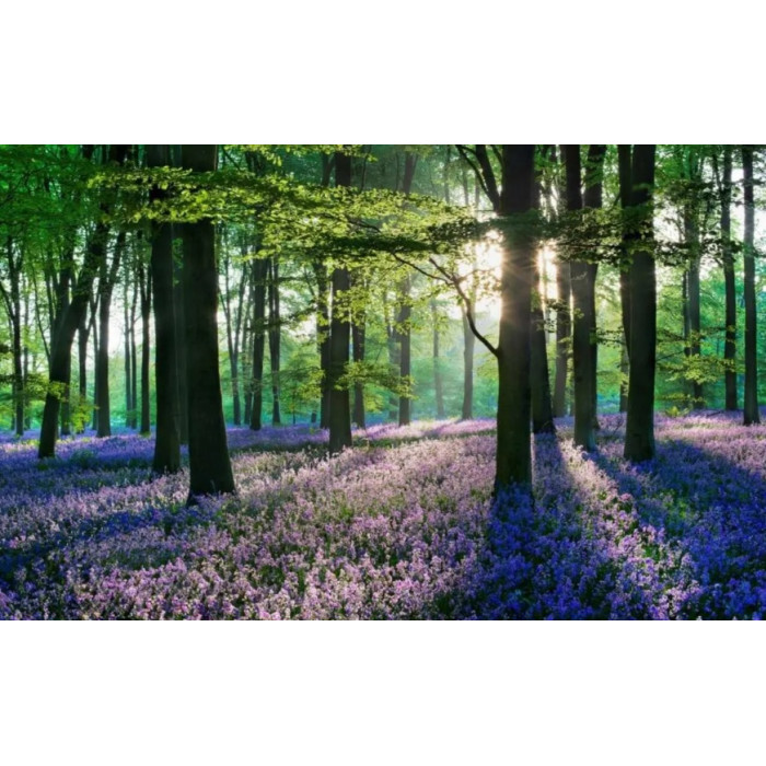 Алмазная мозаика по номерам 30*40 