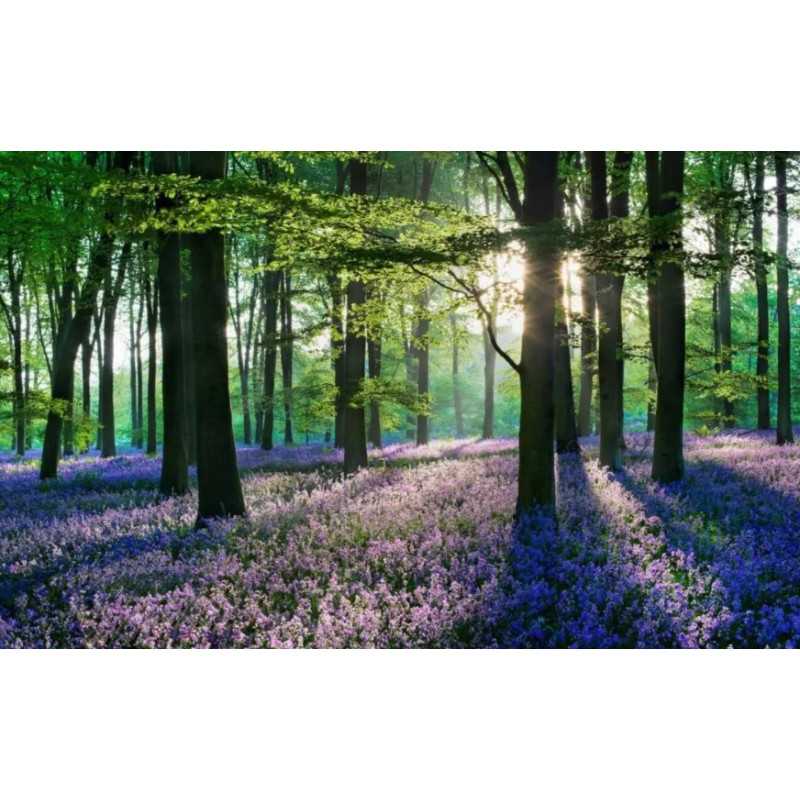 Алмазная мозаика по номерам 30*40 