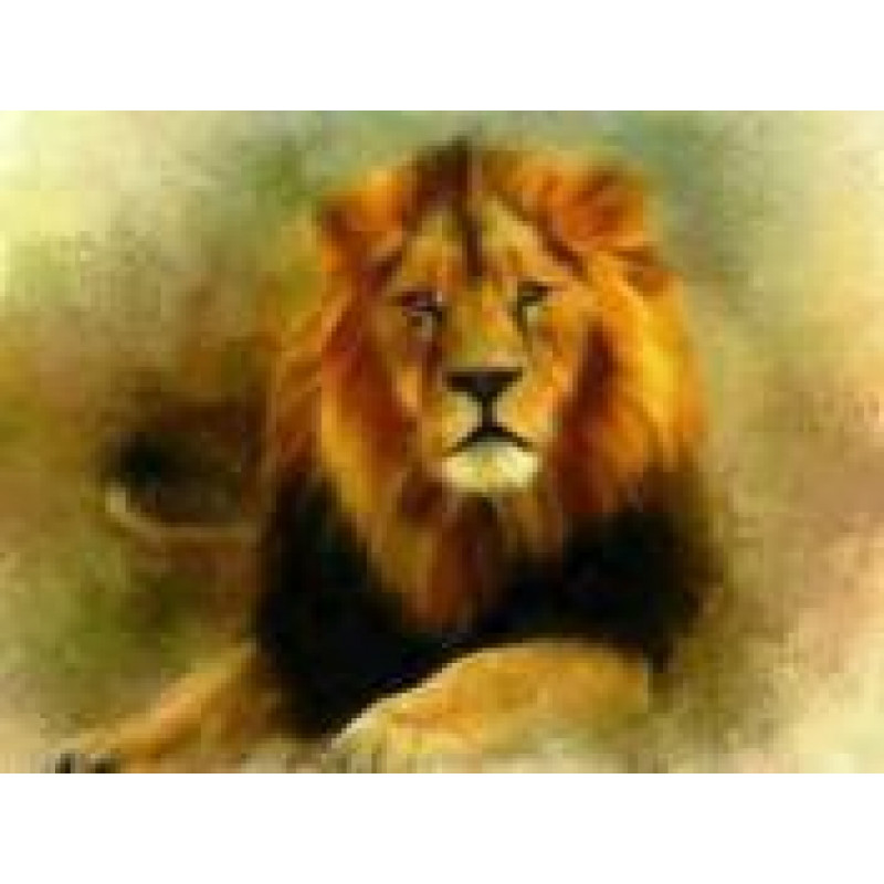 Алмазная мозаика по номерам 30*40 