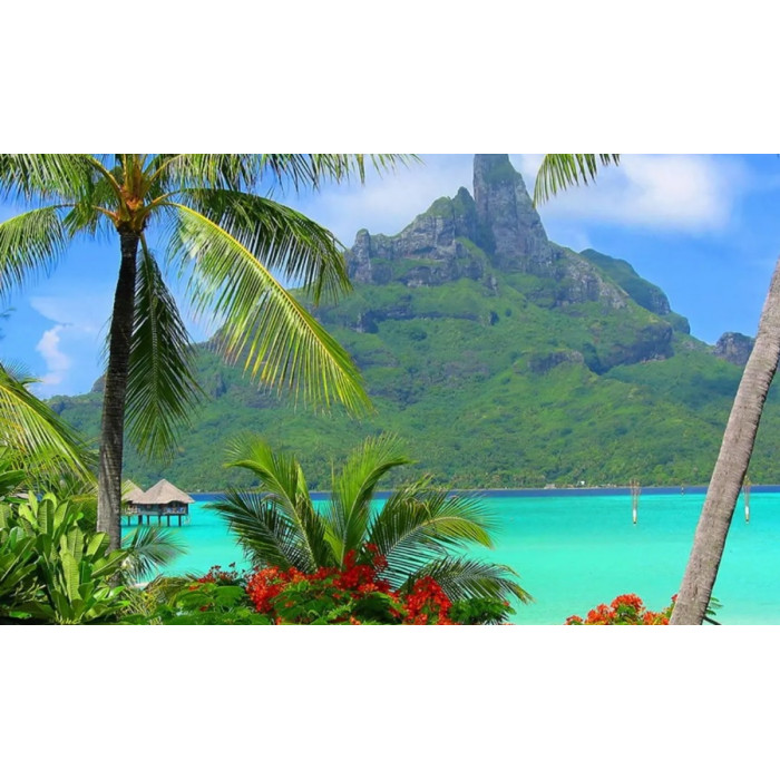 Алмазна мозаїка за номерами 30*40 