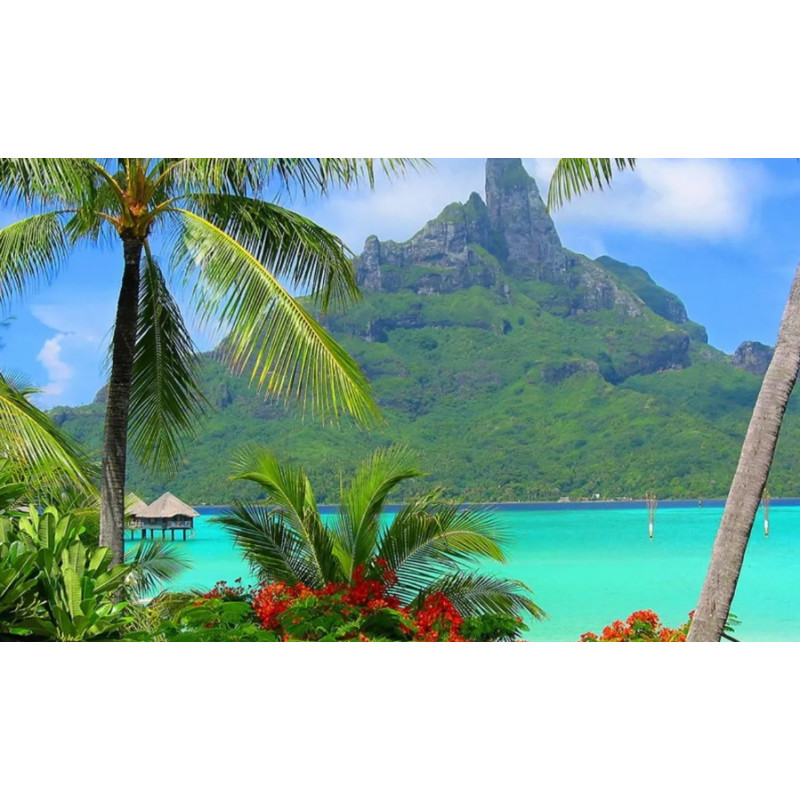 Алмазна мозаїка за номерами 30*40 