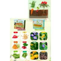 Набір для творчості грунт, насіння, ємність(пластик) 21-13-4см, в кор-ці, 27-23-9,5см /24/