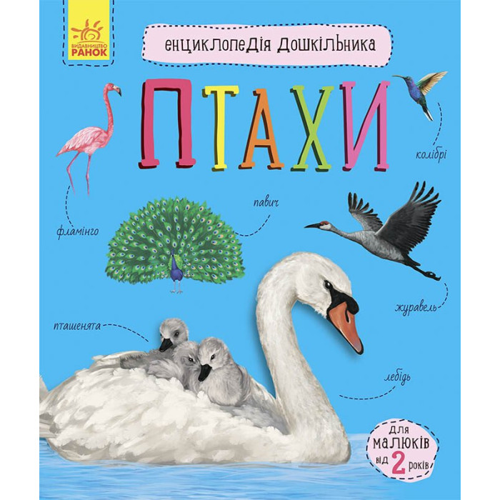 Енциклопедія дошкільника (нова) : Птахи (у)(94.9)