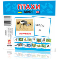 Картки міні Птахи (110х110 мм) (укр)(39)