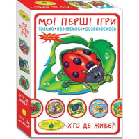 Гра 