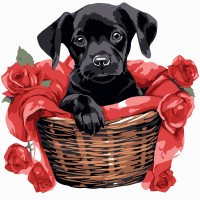 Набір для розпису по номерах Чорне щеня з трояндами Strateg розміром 20х20 см (HH8010)
