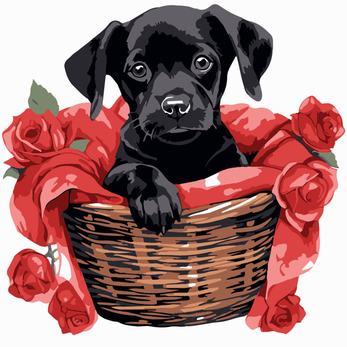 Набір для розпису по номерах Чорне щеня з трояндами Strateg розміром 20х20 см (HH8010)