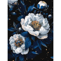 Набір для розпису по номерах 