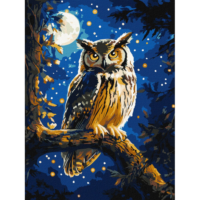 Набір для розпису по номерах 