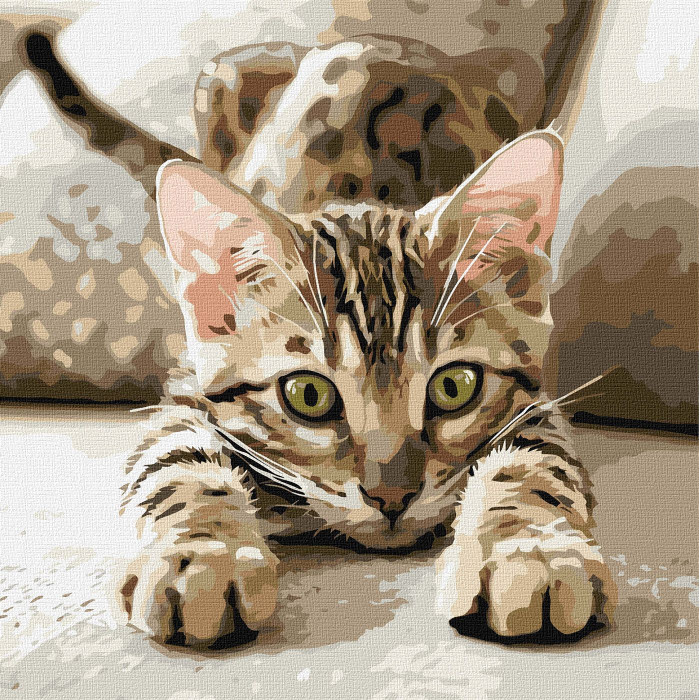 Набір для розпису по номерах 