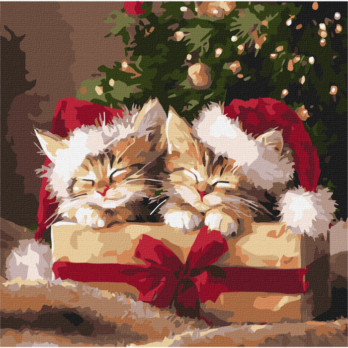 Набір для розпису по номерах 