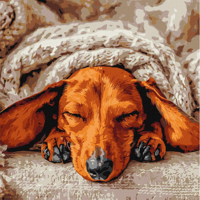 Набір для розпису по номерах 