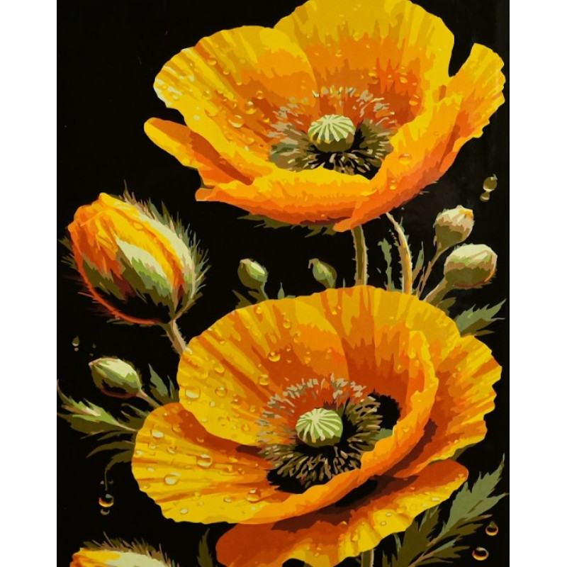 Картина за номерами Strateg Сонячні маки на чорному фоні 40х50 (AH1311)