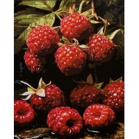 Картина за номерами Strateg Соковита малина на чорному фоні 40х50 (AH1313)