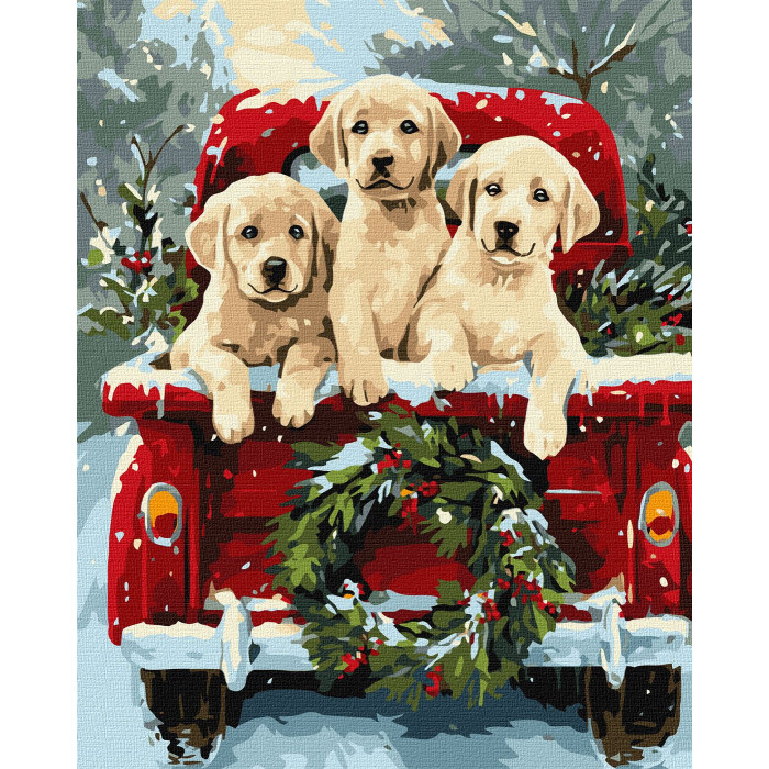 Набір для розпису по номерах 