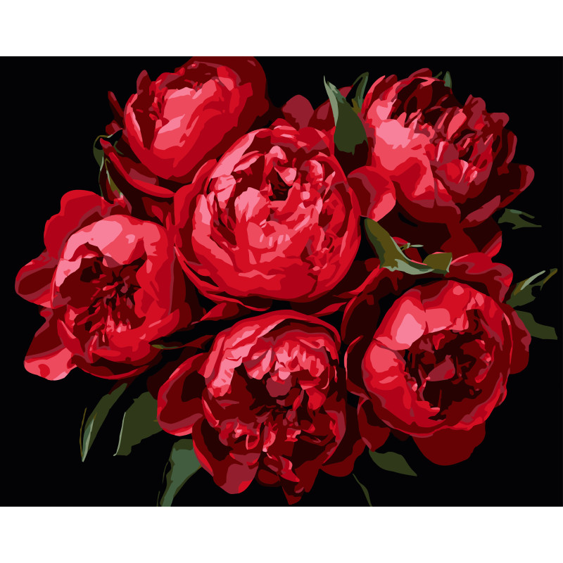 Набір для розпису по номерах Яскраві півонії Strateg на чорному фоні розміром 40х50 см (AH1215-11)