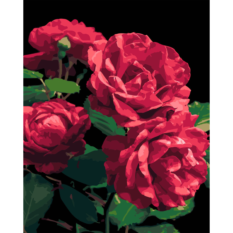 Набір для розпису по номерах Троянди Strateg на чорному фоні розміром 40х50 см (AH1187-18) Набір для розпису по номерах Троянди Strateg на чорному фоні розміром 40х50 см (AH1187-18)