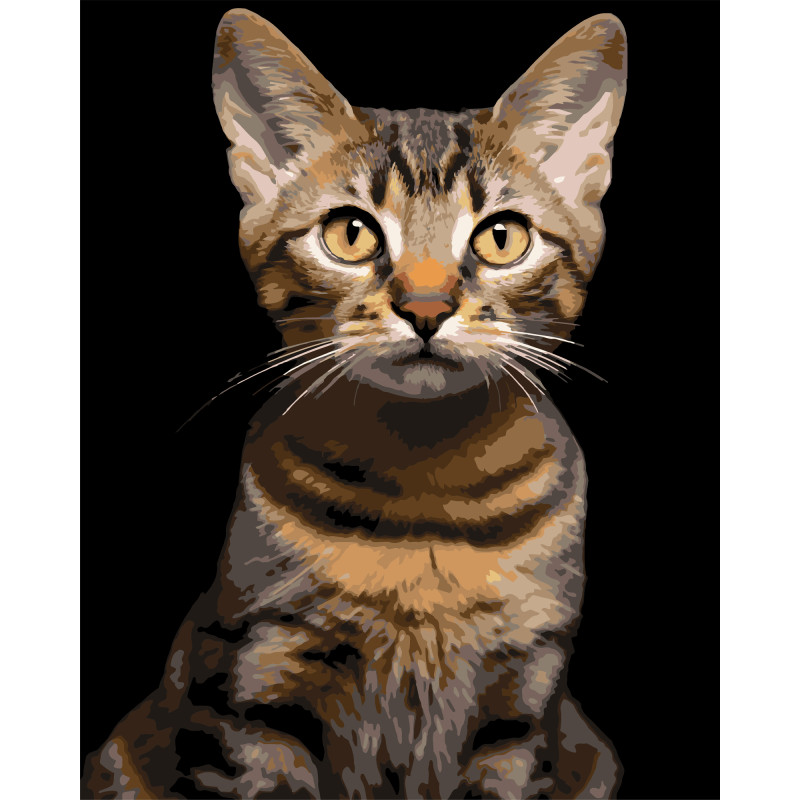 Картина за номерами Strateg Смугастий кіт на чорному фоні 40Х50 (AH1284)