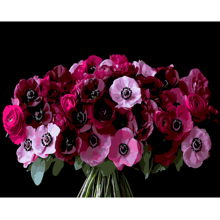 Картина за номерами Strateg Червоні анемони на чорному фоні 40Х50 (AH1288)