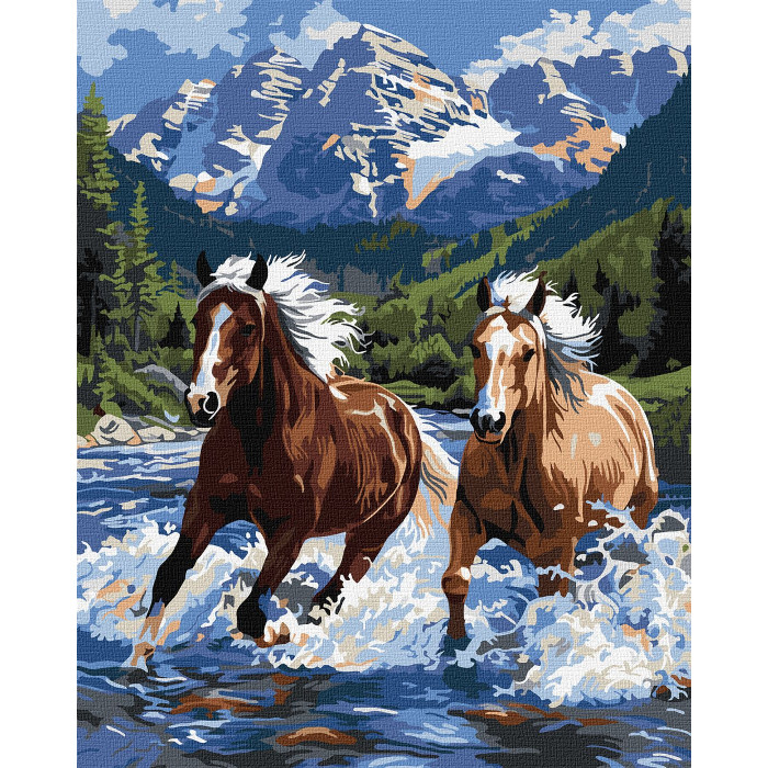 Набір для розпису по номерах 