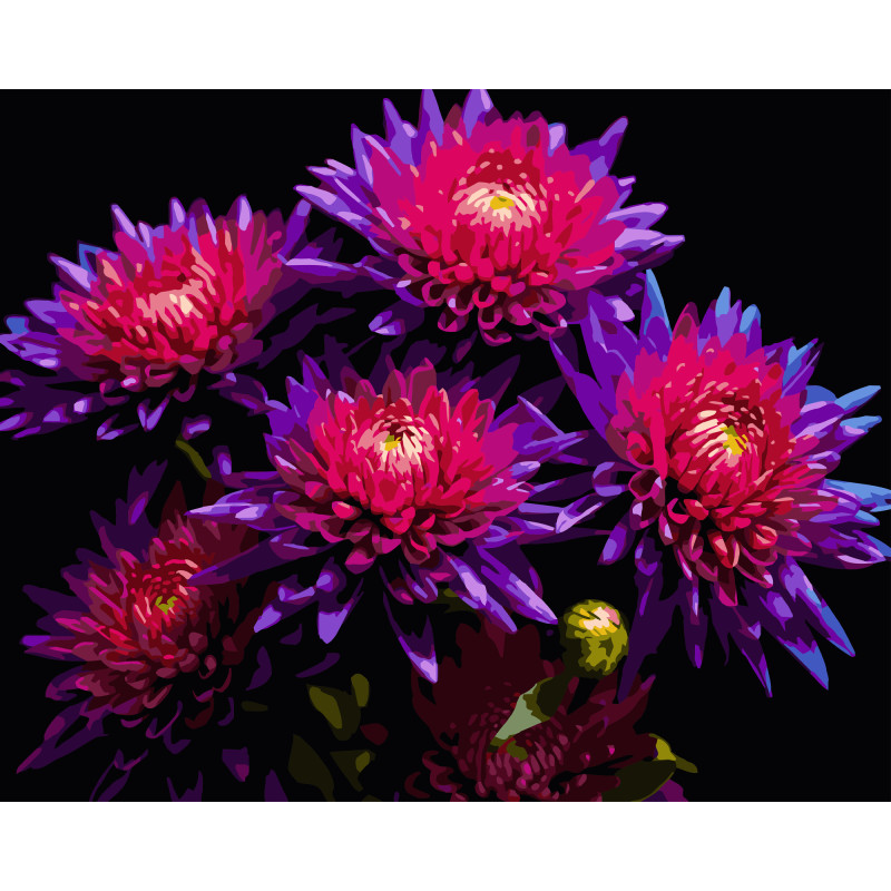 Картина за номерами Strateg Айстри на чорному фоні 40Х50 (AH1298) Картина за номерами Strateg Айстри на чорному фоні 40Х50 (AH1298)