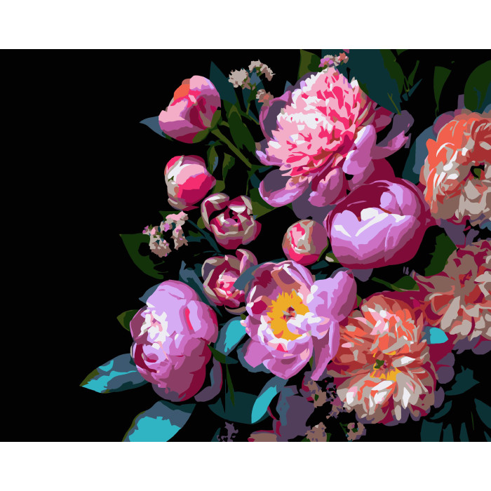 Картина за номерами Strateg Півонієподібні квіти на чорному фоні 40Х50 (AH1259)