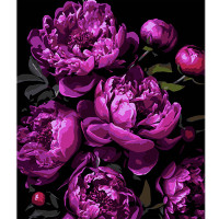 Набір для розпису по номерах Магія фіолетових піонів Strateg на чорному фоні розміром 40х50 см (AH1134)