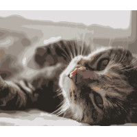 Набір для розпису по номерах Котик у променях Strateg розміром 40х50 см (DY109) Набір для розпису по номерах Котик у променях Strateg розміром 40х50 см (DY109)
