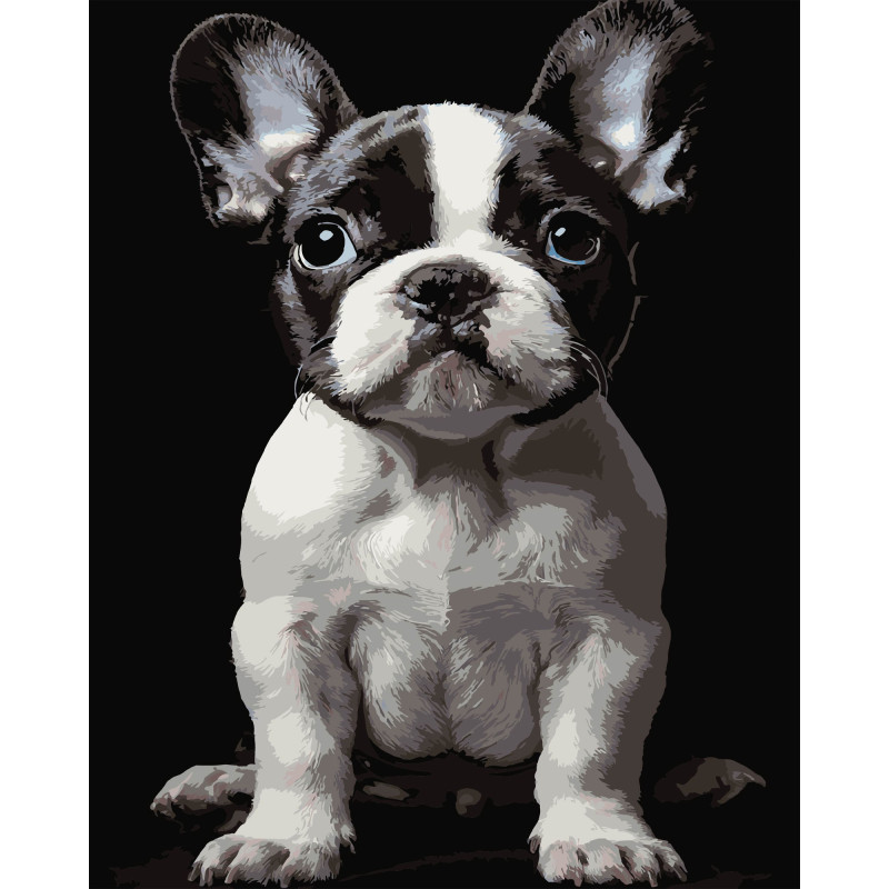 Картина за номерами Strateg Маленький пес на чорному фоні 40Х50 (AH1277)